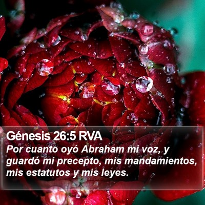 Génesis 26:5 RVA Bible Verse Image