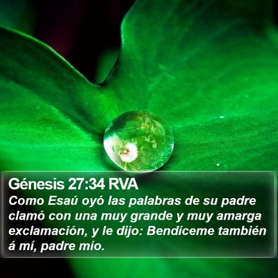Génesis 27:34 RVA Bible Verse Image