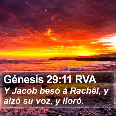 Génesis 29:11 RVA Bible Verse Image