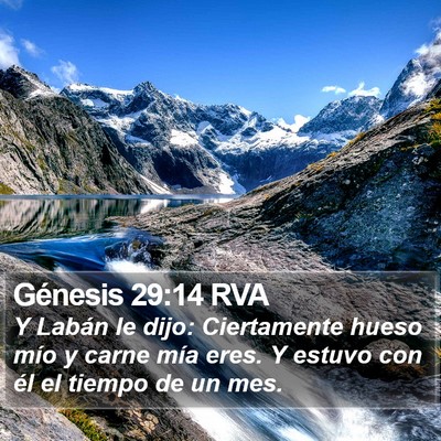 Génesis 29:14 RVA Bible Verse Image