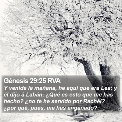 Génesis 29:25 RVA Bible Verse Image