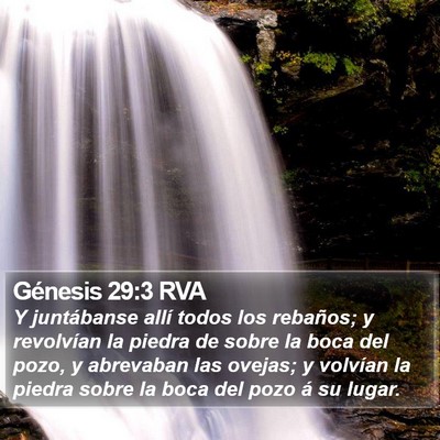 Génesis 29:3 RVA Bible Verse Image
