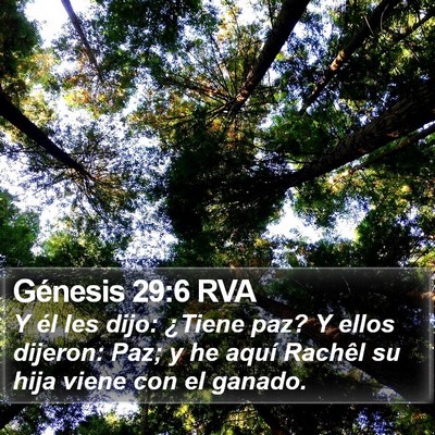 Génesis 29:6 RVA Bible Verse Image