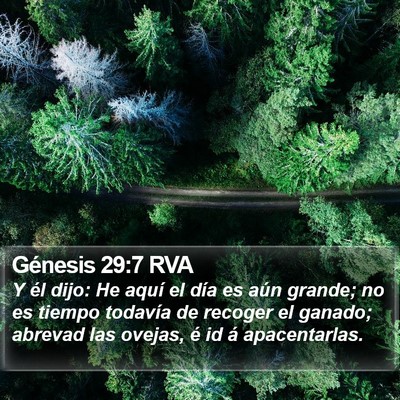 Génesis 29:7 RVA Bible Verse Image