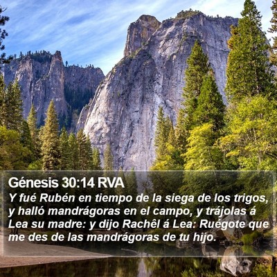Génesis 30:14 RVA Bible Verse Image