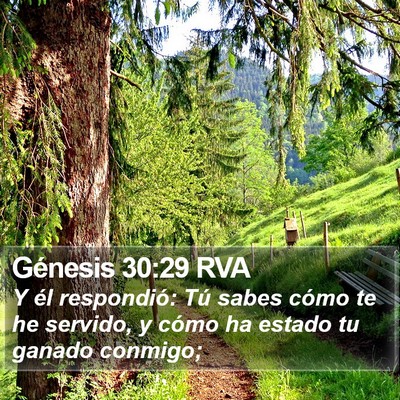 Génesis 30:29 RVA Bible Verse Image