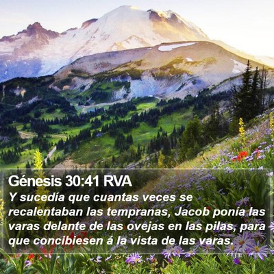 Génesis 30:41 RVA Bible Verse Image
