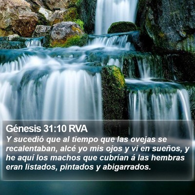 Génesis 31:10 RVA Bible Verse Image