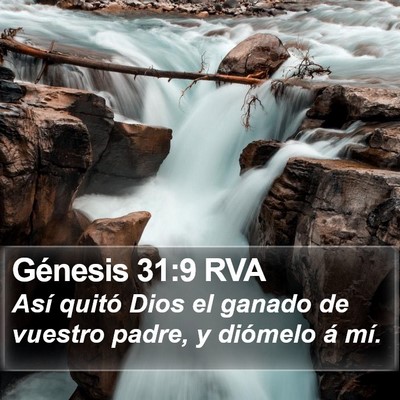 Génesis 31:9 RVA Bible Verse Image