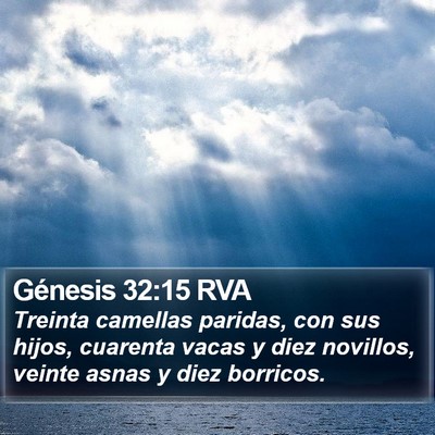 Génesis 32:15 RVA Bible Verse Image