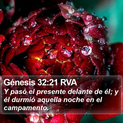 Génesis 32:21 RVA Bible Verse Image