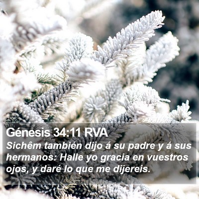 Génesis 34:11 RVA Bible Verse Image