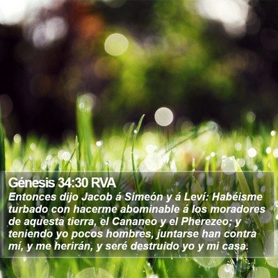 Génesis 34:30 RVA Bible Verse Image