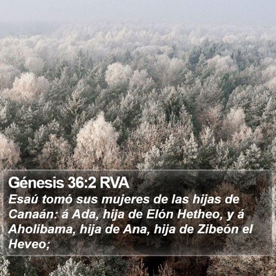 Génesis 36:2 RVA Bible Verse Image