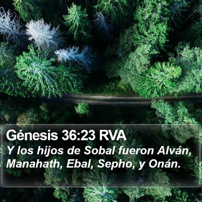 Génesis 36:23 RVA Bible Verse Image