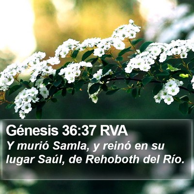 Génesis 36:37 RVA Bible Verse Image
