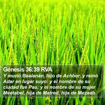 Génesis 36:39 RVA Bible Verse Image