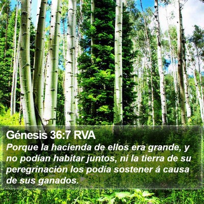 Génesis 36:7 RVA Bible Verse Image