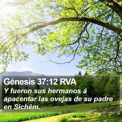 Génesis 37:12 RVA Bible Verse Image