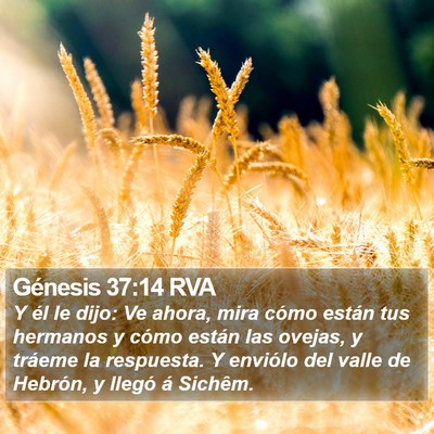 Génesis 37:14 RVA Bible Verse Image