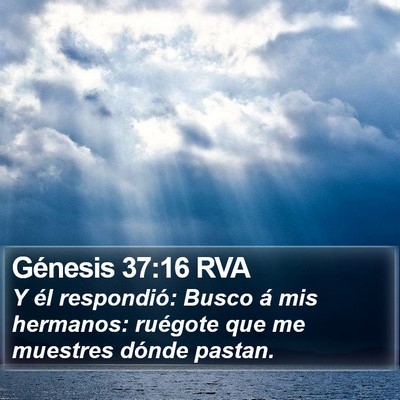 Génesis 37:16 RVA Bible Verse Image