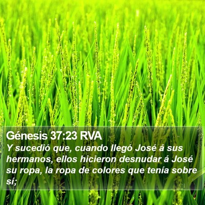 Génesis 37:23 RVA Bible Verse Image