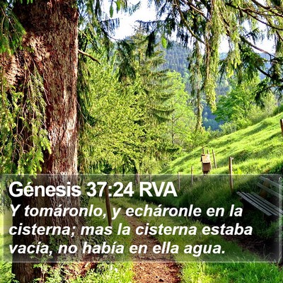 Génesis 37:24 RVA Bible Verse Image