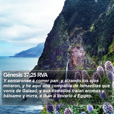 Génesis 37:25 RVA Bible Verse Image