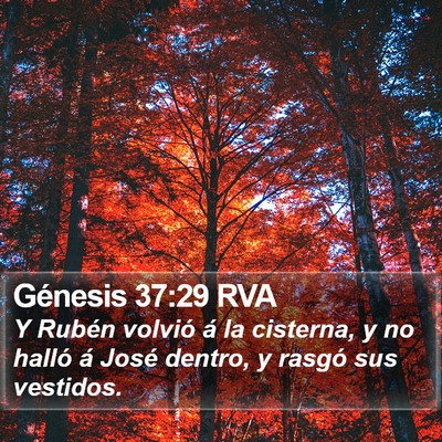 Génesis 37:29 RVA Bible Verse Image