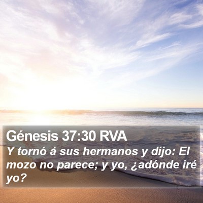 Génesis 37:30 RVA Bible Verse Image