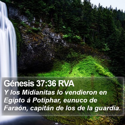 Génesis 37:36 RVA Bible Verse Image