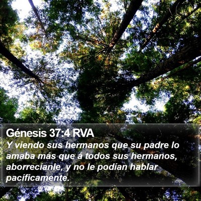 Génesis 37:4 RVA Bible Verse Image