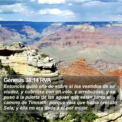 Génesis 38:14 RVA Bible Verse Image