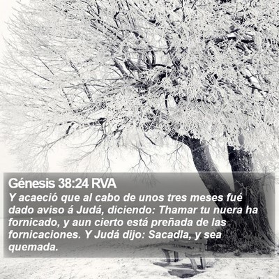 Génesis 38:24 RVA Bible Verse Image