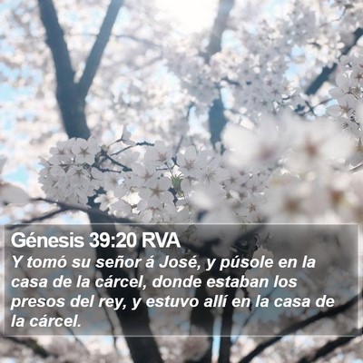 Génesis 39:20 RVA Bible Verse Image