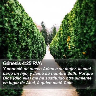 Génesis 4:25 RVA Bible Verse Image