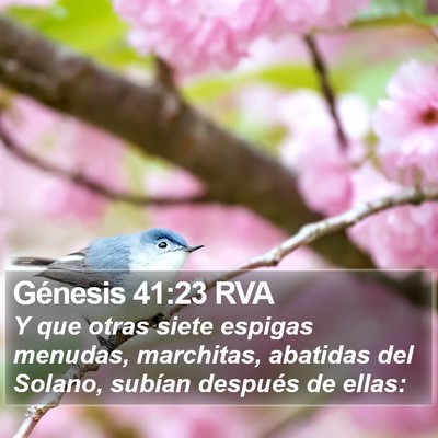 Génesis 41:23 RVA Bible Verse Image