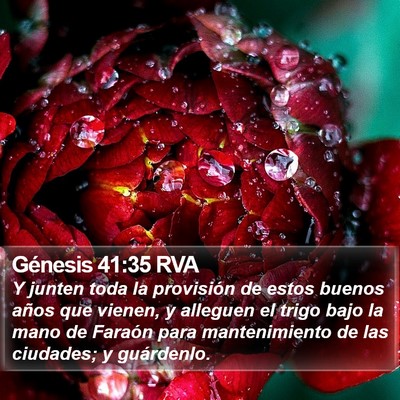 Génesis 41:35 RVA Bible Verse Image