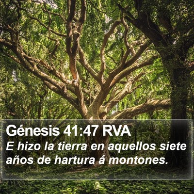 Génesis 41:47 RVA Bible Verse Image