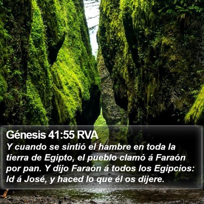 Génesis 41:55 RVA Bible Verse Image