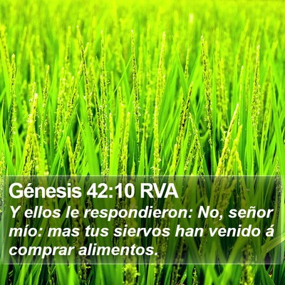 Génesis 42:10 RVA Bible Verse Image