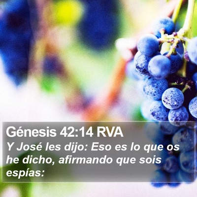 Génesis 42:14 RVA Bible Verse Image