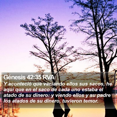 Génesis 42:35 RVA Bible Verse Image
