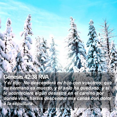 Génesis 42:38 RVA Bible Verse Image