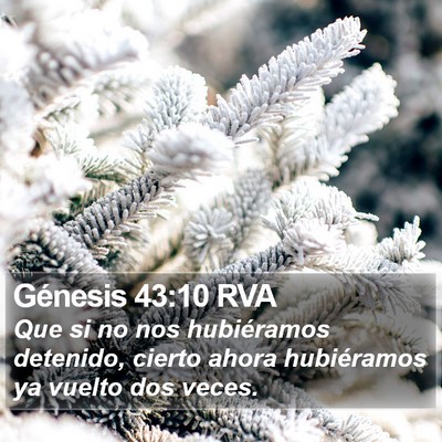 Génesis 43:10 RVA Bible Verse Image