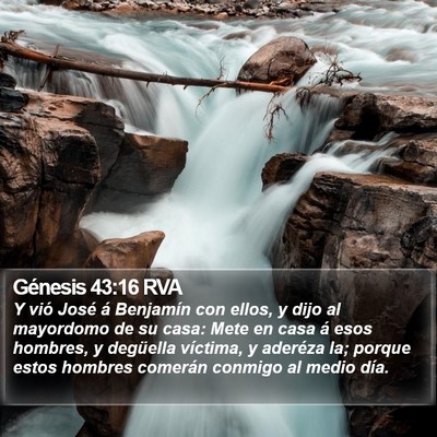 Génesis 43:16 RVA Bible Verse Image