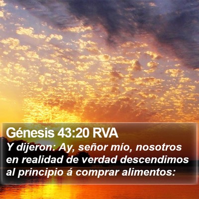 Génesis 43:20 RVA Bible Verse Image