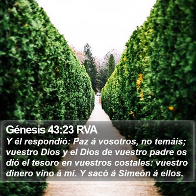 Génesis 43:23 RVA Bible Verse Image