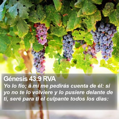 Génesis 43:9 RVA Bible Verse Image