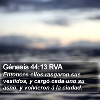 Génesis 44:13 RVA Bible Verse Image